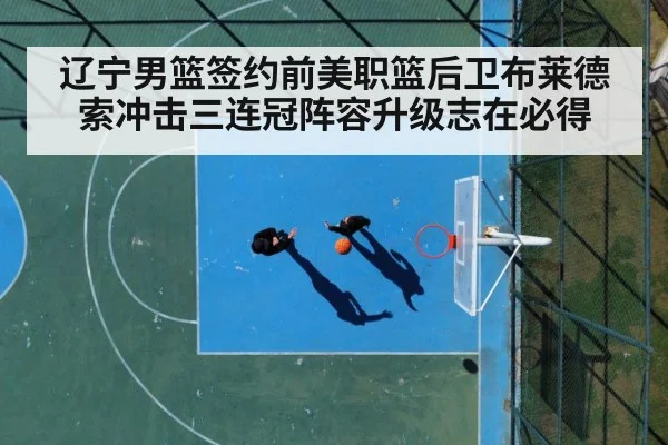 辽宁男篮签约前美职篮后卫布莱德索冲击三连冠阵容升级志在必得