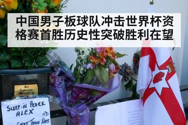 中国男子板球队冲击世界杯资格赛首胜历史性突破胜利在望